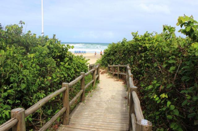 Apartamento Costao Das Gaivotas - Praia Do Santinho - Ingleses - Florianópolis Eksteriør billede